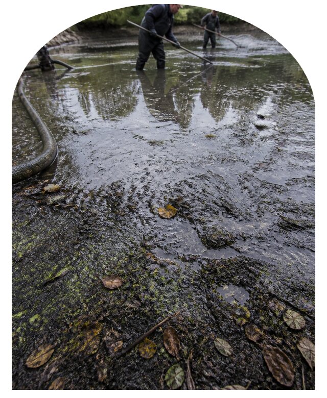 Очистка пруда в Чистополе от ила мусора и водорослей с вывозом